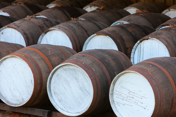 wine barrels in cellar