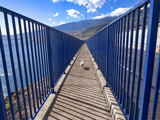 Section of a footbridge high above the coast with high security bars in the form of blue bars.