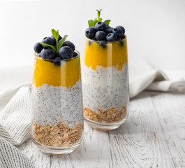 Glass of yogurt with blueberries and mango mousse, chia seed and oatmeal.