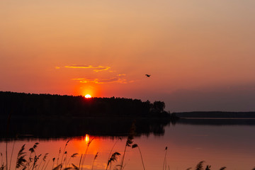 sunset on the lake