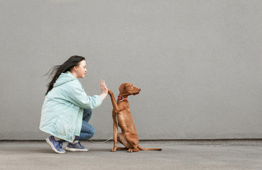 Dog gives five girls. Trained puppy performs teams. Happy owner and cute dog are playing against...