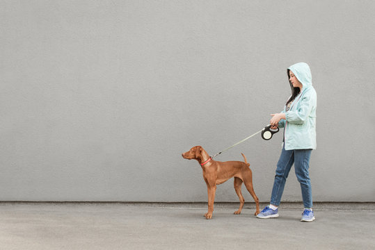 Girl And Dog On A Leash Are Walking Against The Background Of A Gray Wall. Owner Walks The Dog On A Gray Background. Street Photo Of A Woman And A Pet At A Leash, Walking Along The Street.