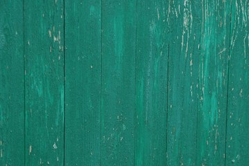 green wooden texture from old wide fence boards