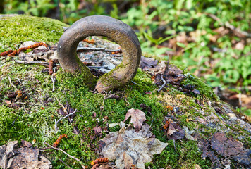 Old rusty iron handle fixed in moss covered rock
