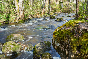 Fototapeta premium Moss covered stones and beautiful river scenery