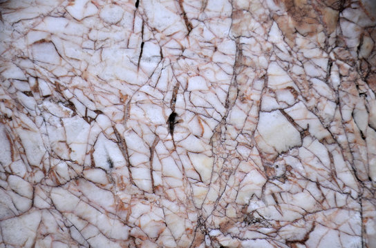  P̣hāph t̄h̀āāy kịl̂ chid k̄hxng h̄in thī̀ mīr lwdlāy s̄wyngām chı̂ pĕn p̣hāph phụ̄̂n h̄lạng p̣hāph t̄h̀āy kịl̂ chid k̄hxng p̄ĥāk̄hāwm̂ā dxk kl̂w mị̂ p̀ā s̄ī m̀wng s̄wyngām nı s̄wn p̣hāph belx k̄hxng 