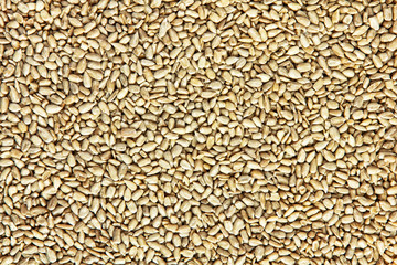 Sunflower seeds taken closeup as food background.