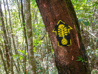 Trail marks in Transmantiqueira long trail hike - mantiqueira range Brazil