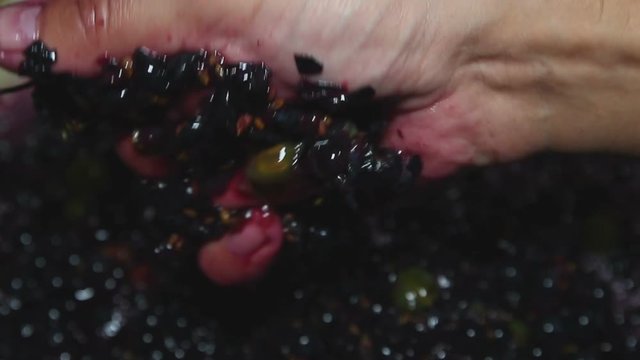 Cupping the grapes with your hands