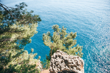 Beautiful natural landscape with trees and sea.