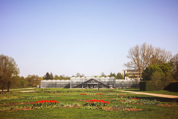 Spring landscape with red tulips and greenhouses in botanical garden