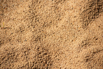 Yellow industrial sand, soft focus