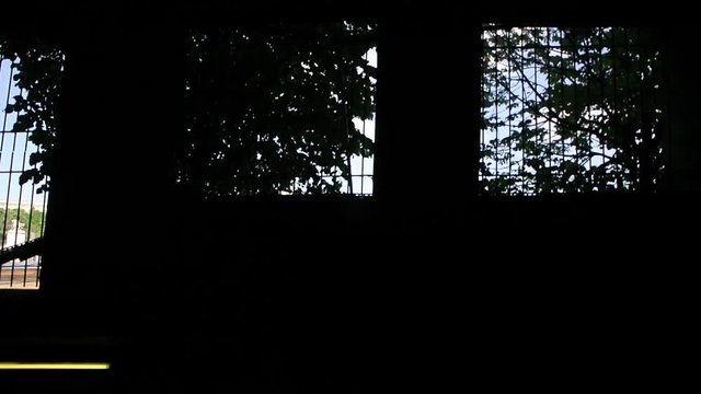 View from Parisian Metro Train RER of the dark tunnel with light stripes and city view through the security fences