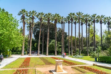 Deurstickers Sun peaking through tall palm trees in the National Gardens, Athens, Greece © k_samurkas