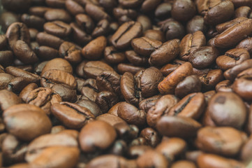 coffee beans background
