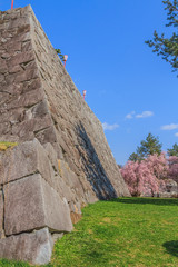 春の盛岡城の風景