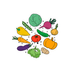 Hand drawn illustration of set vegetables on white background. Organic ingredient, design card