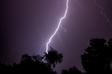 lightning over the woods