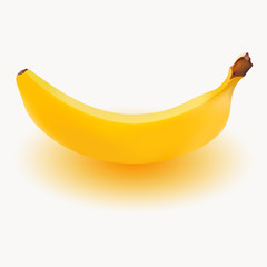 Banana realistic vector Isolated on white background