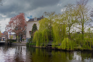 Image of canals and trees in the Leiden, Netherlands