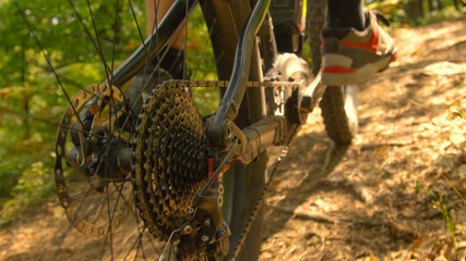 CLOSE UP: Detailed view of the rear wheel of bike as man pedals through woods