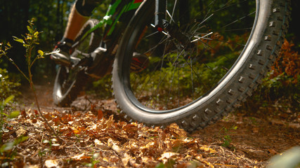 Fototapeta na wymiar CLOSE UP: Unrecognizable man riding an electric bike through the dry leaves.