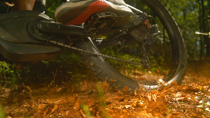 Naklejka premium LOW ANGLE: Male mountain biker rides his bike through the dry fallen leaves.