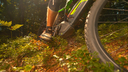 Naklejka premium CLOSE UP Leaves and tiny branches fly in air as mountain biker rides his bicycle
