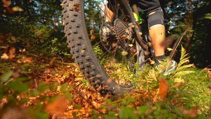CLOSE UP: Sun shines on a part of forest trail as cyclist speeds past the camera