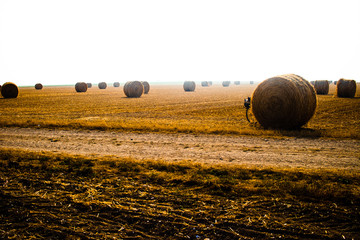 Touring bike hidden by a hay ball in a big orangee-colored field