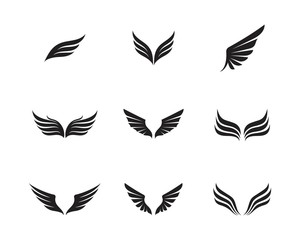 Fototapeta na wymiar Wing logo and symbol business template