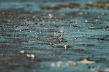 Bubbles in water washing over a sandy beach