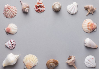 Nautical summer background. Frame from sea shells of different shapes and colors on gray stone background. Elegant minimalist style. Creative poster card. Tropical spa wellness concept