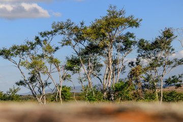 Green Blue frame three cover