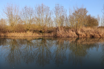 Obraz premium Nouvelle-Aquitaine - Charente-Maritime - Canal qui relie Marans à La Rochelle