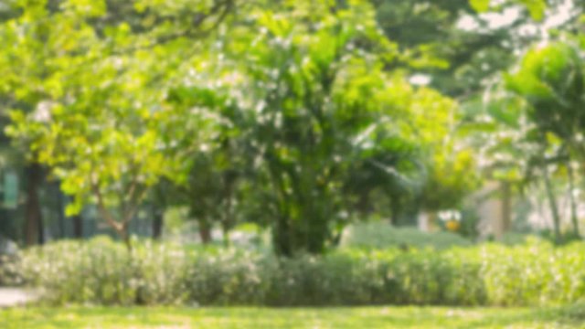 Two women hands making a pinkie promise symbol at the park. Shot in 4k resolution