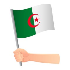 algeria flag in hand