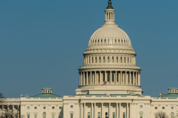 Obraz premium united states capitol building dome in washington dc