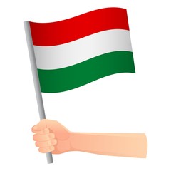 Hungary flag in hand