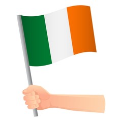 Ireland flag in hand