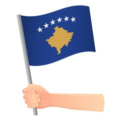 Kosovo flag in hand