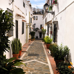 Fototapeta na wymiar Typical Andalucia Spain old village whitewashed houses