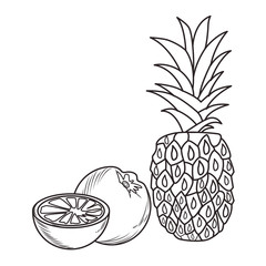 Fresh fruit nutrition healthy black and white hand drawn