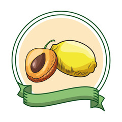 Fresh fruit nutrition healthy round frame