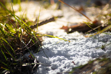 Close up field covered by white snow. Winter Sun