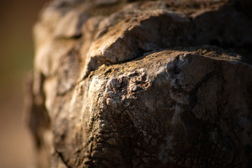Close Uo Brown Stone illuminated by sun at sunrise. Texture and Nature Concept