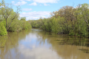 Fototapeta na wymiar Muddy Des Plaines River at Campground Road Woods in spring
