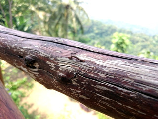Weathered wood with blurry background.