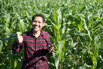 Asian farmer using smartphone in corn field, Thailand