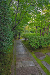 圓徳院 雨上がりの参道